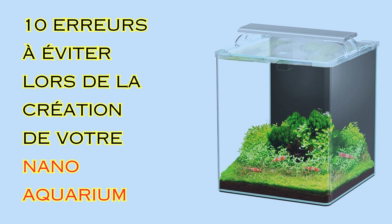 nano aquarium