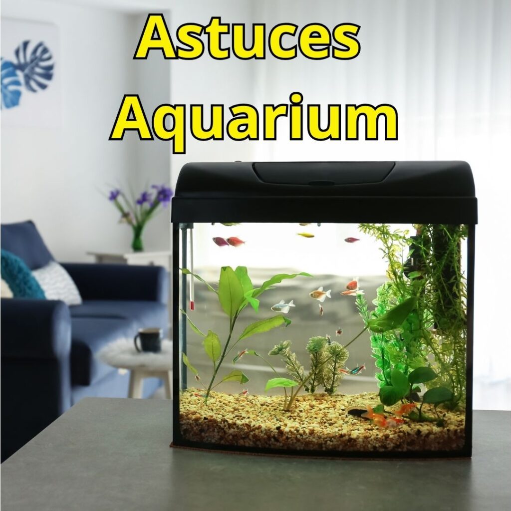 Astuces Aquarium