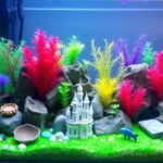 décoration aquarium